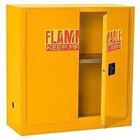 Algopix Similar Product 13 - Sandusky Lee Compact Flammable Safety