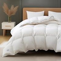 Algopix Similar Product 15 - Bedsure Down Comforter Queen Size  All