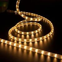Algopix Similar Product 12 - LAMPHOME LED Rope Light Warm White LED