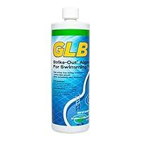 Algopix Similar Product 19 - GLB Pool  Spa Products 71114 1Quart