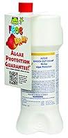 Algopix Similar Product 20 - FROG BAM 90 Day Algae Preventative