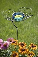 Algopix Similar Product 8 - Butterfly Feeder