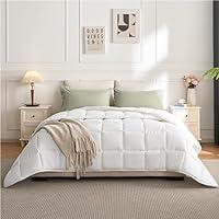Algopix Similar Product 5 - BEDENSIT Comforter  White Queen Size