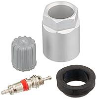 Algopix Similar Product 15 - Standard Motor Products TPM1070K Tire