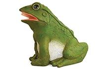 Algopix Similar Product 13 - Danner 3765 PondMaster Fountain Frog
