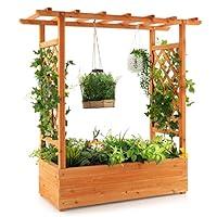 Algopix Similar Product 3 - S AFSTAR Raised Garden Bed with Arch