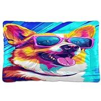 Algopix Similar Product 13 - Colorful Corgi Dog Dog Cat Bed for