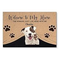 Algopix Similar Product 5 - Pawfect House Welcome to My Home 
