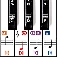 Algopix Similar Product 3 - Color Piano Stickers wComplete Notes