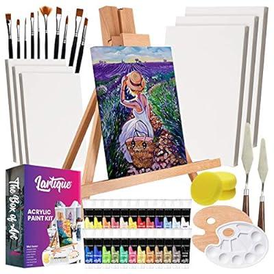 Best Deal for Lartique 47 Piece Painting Supplies kit - Complete Painting