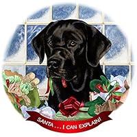Algopix Similar Product 11 - Black Labrador Lab Dog Porcelain