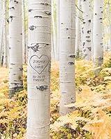 Algopix Similar Product 20 - Personalized Aspen Tree Print Names