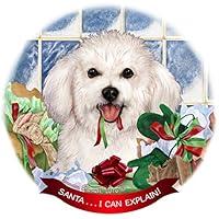 Algopix Similar Product 14 - Bichon Frise Dog Porcelain Hanging