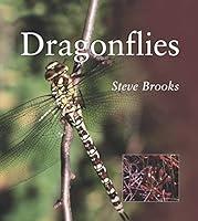 Algopix Similar Product 2 - Dragonflies Smithsonians Natural