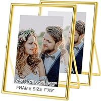 Algopix Similar Product 7 - IZIDDO Gold Floating Picture Frame set