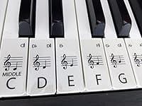 Algopix Similar Product 17 - CLEAR STANDARD pianokeyboard stickers