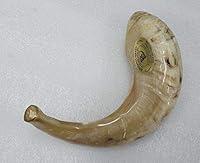 Algopix Similar Product 11 - Small Rams Rams HORN SHOFAR 912