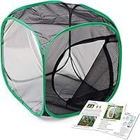 Algopix Similar Product 18 - RESTCLOUD Insect and Butterfly Habitat