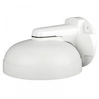 Algopix Similar Product 8 - Digital Watchdog DWCPZWM Wall Mount