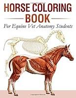 Algopix Similar Product 17 - Horse Coloring Book For Equine Vet