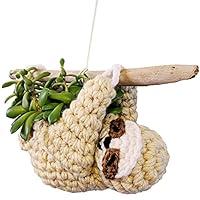 Algopix Similar Product 15 - crochet sloth planter indoor mini