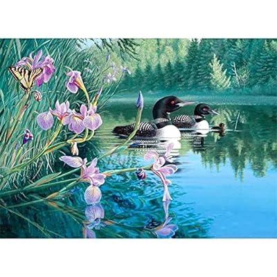 Best Deal for 5D Diamond Art Painting Kits for Adults DIY Wild duck in