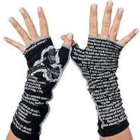 Algopix Similar Product 15 - The Raven by Edgar Allan Poe