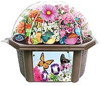 Algopix Similar Product 12 - TOYS BY NATURE Grow Your Own Butterfly