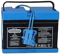 Algopix Similar Product 17 - Peg Perego Official Replacement 12V