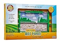 Algopix Similar Product 17 - Uncle Milton Ant Farm