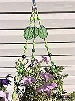 Algopix Similar Product 5 - Luck Of The Irish Basket Hanger