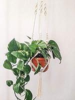 Algopix Similar Product 10 - Macrame Plant Hanger Large Indoor