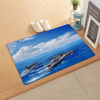 Best Deal for Durable Leather Kitchen Floor Mat Ocean Coast Cute Dolphin