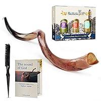 Algopix Similar Product 14 - HalleluYAH Shofar Set  Kudu Horn Fully