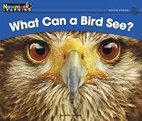 Algopix Similar Product 13 - What Can a Bird See Rising Readers