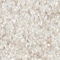 Algopix Similar Product 18 - Wilton Edible Glitter Silver Stars 04