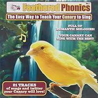 Algopix Similar Product 19 - Feathered Phonics Volume 7 The Easy