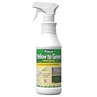 Algopix Similar Product 2 - NaturVet Yellow to Green Lawn Pet Spot