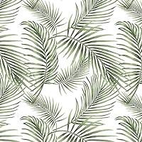 Algopix Similar Product 16 - Fiula Tropical Palm Wallpaper