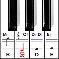 Algopix Similar Product 15 - Piano Stickers for Keys  Removable