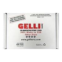 Algopix Similar Product 11 - Gelli Arts GL862622000321 Class Pack