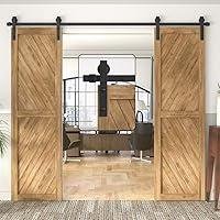 Algopix Similar Product 13 - WINSOON Double Barn Door Hardware Kit