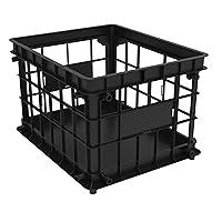 Algopix Similar Product 4 - Storex Standard File Crate  Letter and