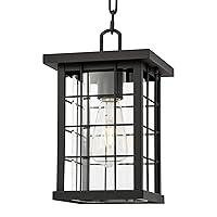 Algopix Similar Product 7 - Moutly Outdoor Pendant Light 1Light