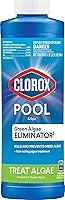Algopix Similar Product 4 - Clorox PoolSpa Swimming Pool
