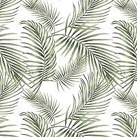 Algopix Similar Product 1 - Fiula Tropical Palm Wallpaper