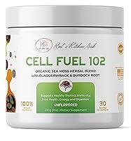 Algopix Similar Product 17 - Reds Kitchen Sink Cell Fuel 102 Sea