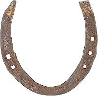Algopix Similar Product 11 - Wonder Care Horseshoe Authentic Used
