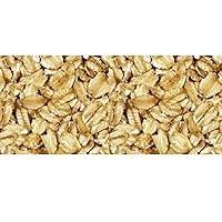 Algopix Similar Product 11 - BULK Regular Rolled Oats, 1 LB