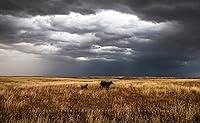 Algopix Similar Product 9 - Western Photography Print Not Framed